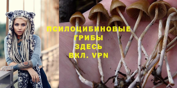 герыч Абаза
