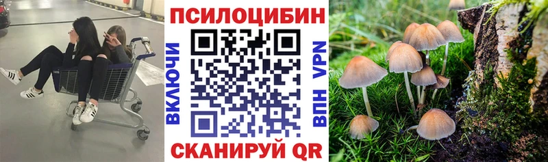 Псилоцибиновые грибы GOLDEN TEACHER  blacksprut онион  Лабытнанги 